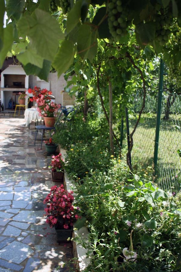 Apartment Vera Umag Dış mekan fotoğraf